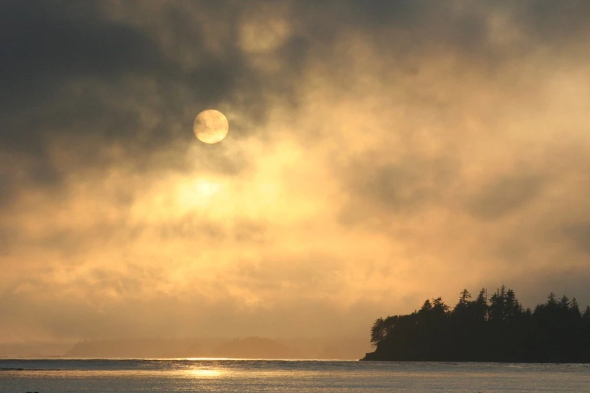 Escape to Clayoquot Sound | Finding Home in a Wild Place Escape To Clayoquot Sound | Finding Home In A Wild Place -Western Canoe Kayak Clayoquot Dowd image02