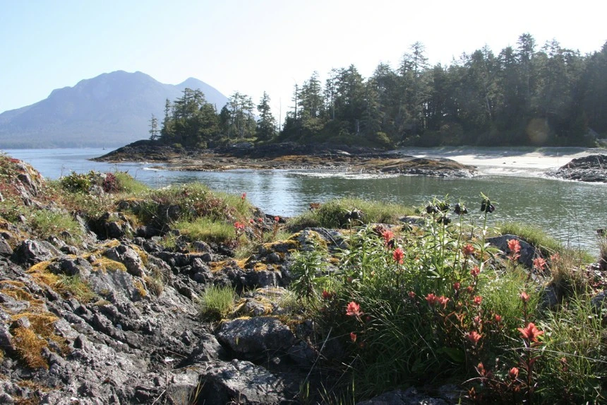 Escape to Clayoquot Sound | Finding Home in a Wild Place Escape To Clayoquot Sound | Finding Home In A Wild Place -Western Canoe Kayak Clayoquot Dowd image03