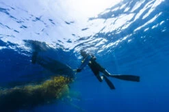 Hobie Mirage Outback | Kayak 9 Hobie Mirage Outback | Kayak -Western Canoe Kayak Outback 2020 Example 1 43015.1708821171