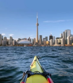 Gearlab Paddle Clutch 6 Gearlab Paddle Clutch -Western Canoe Kayak paddle clutch 6 2 71638.1702759391